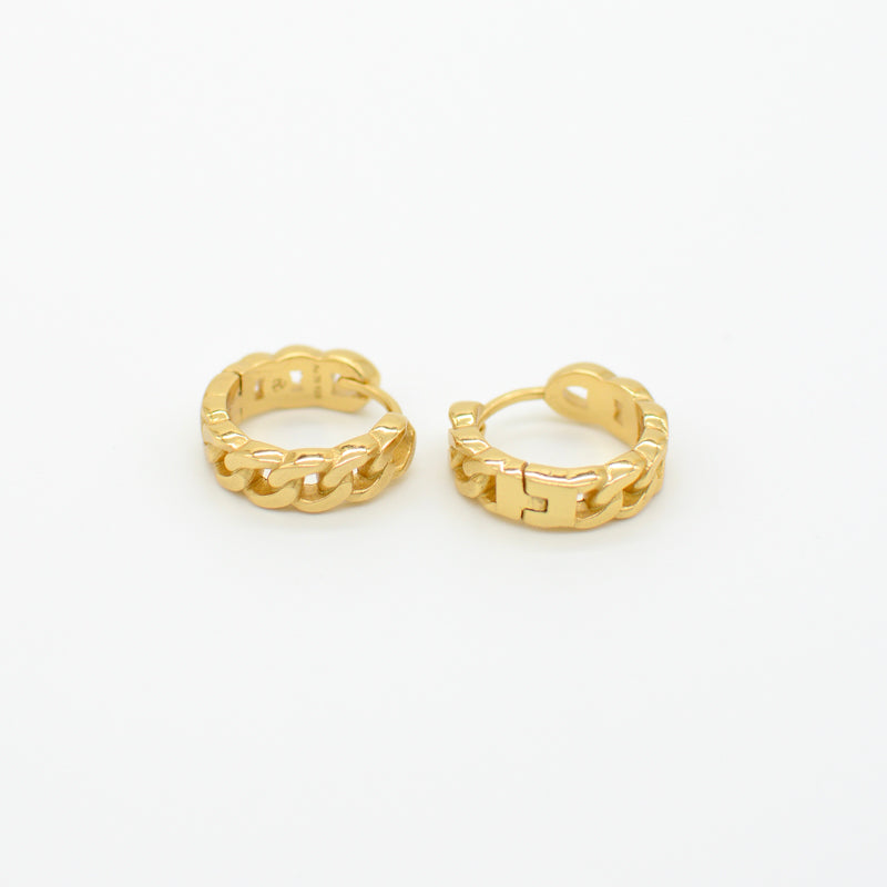 Havana Small Hoop Earrings