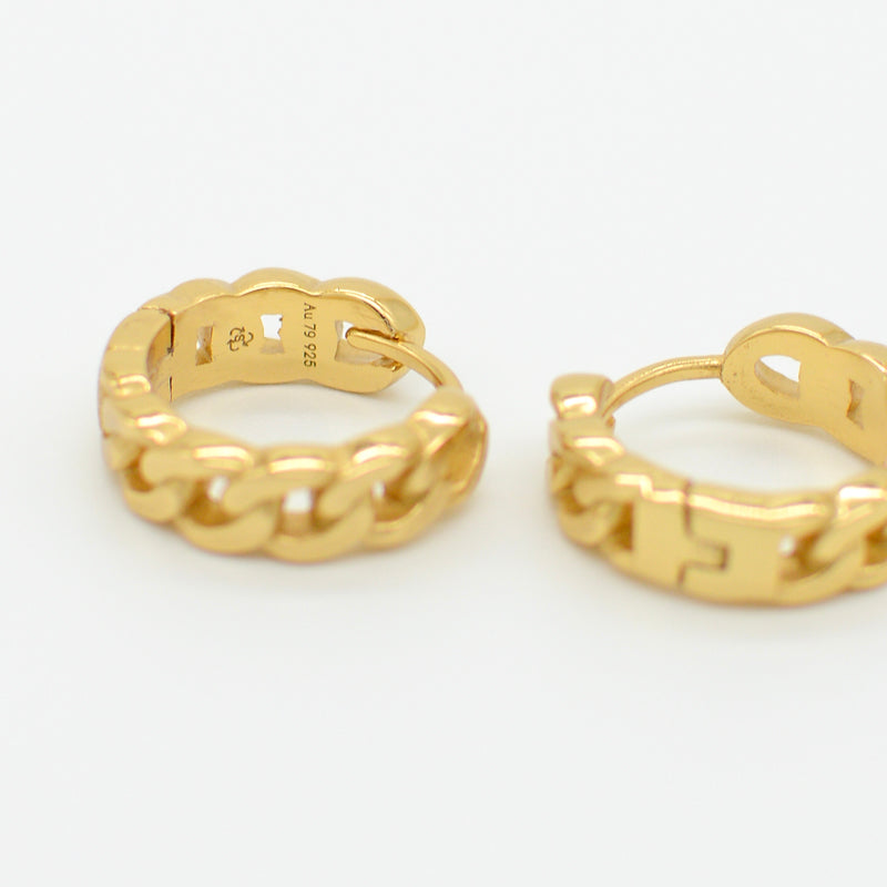 Havana Small Hoop Earrings