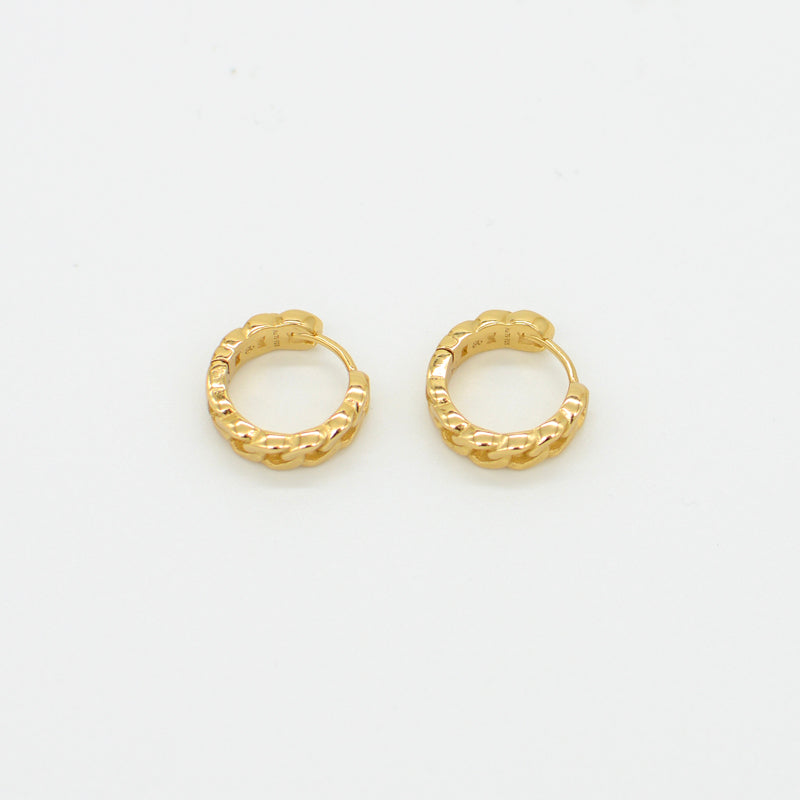 Havana Small Hoop Earrings