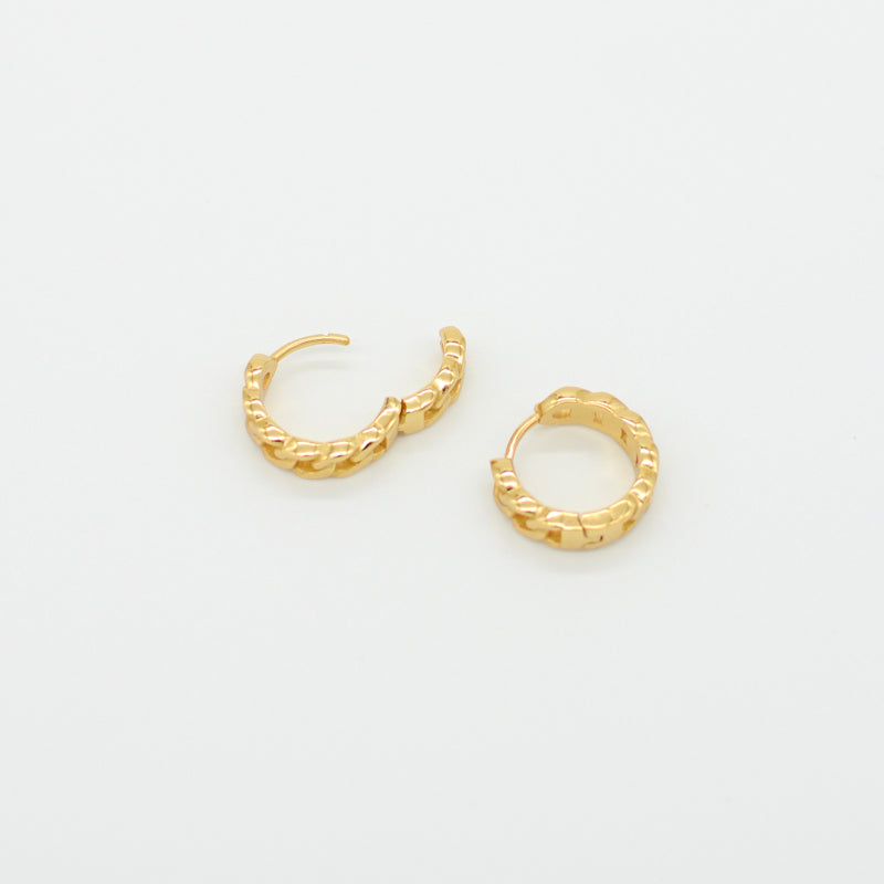 Havana Small Hoop Earrings