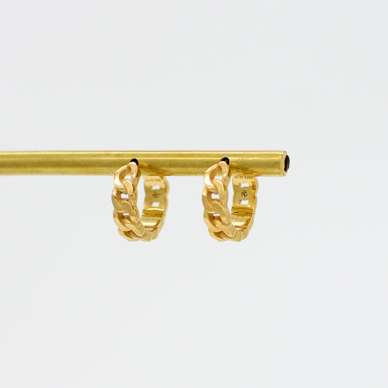 Havana Small Hoop Earrings