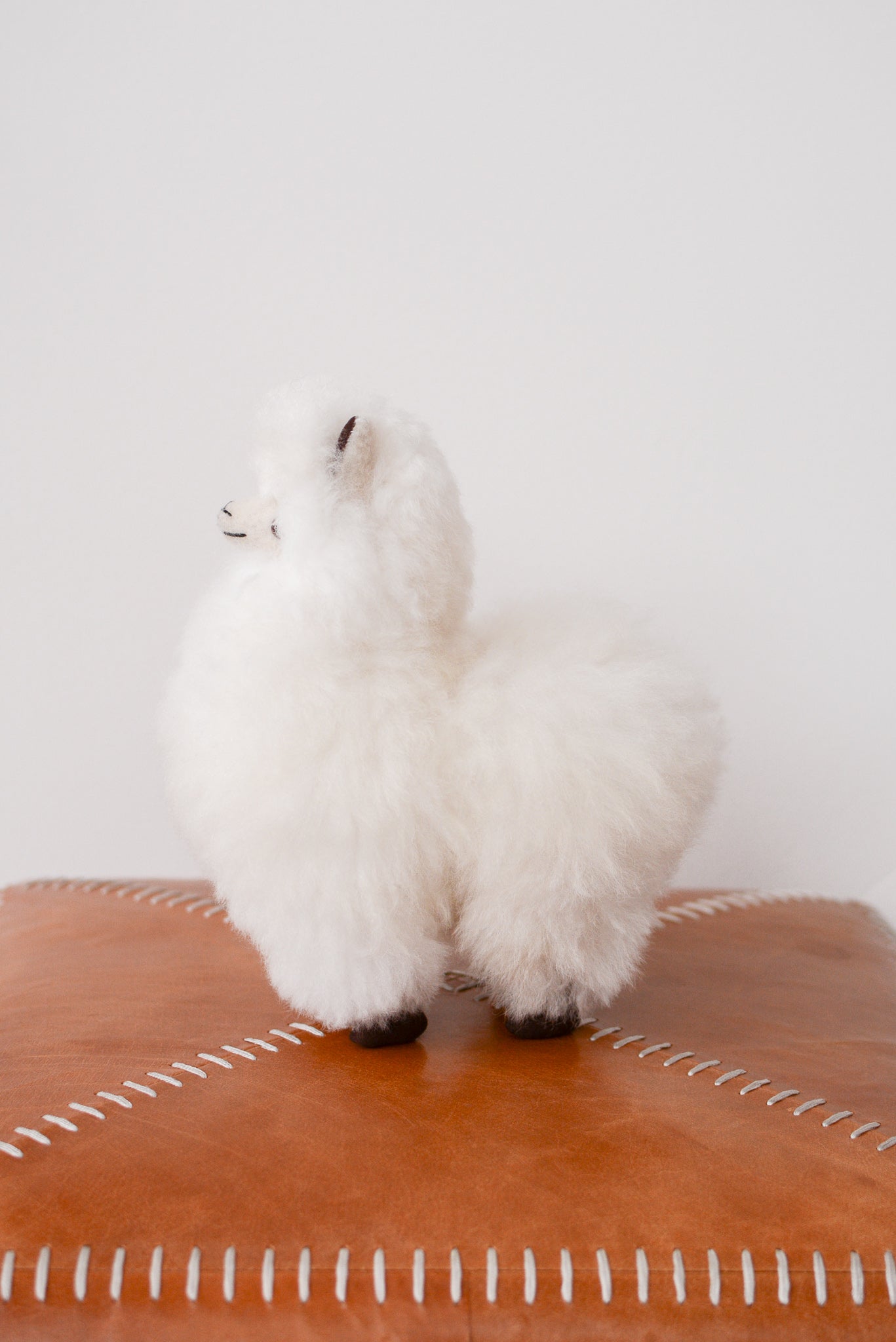 Small Plush Alpaca Stuffy in White