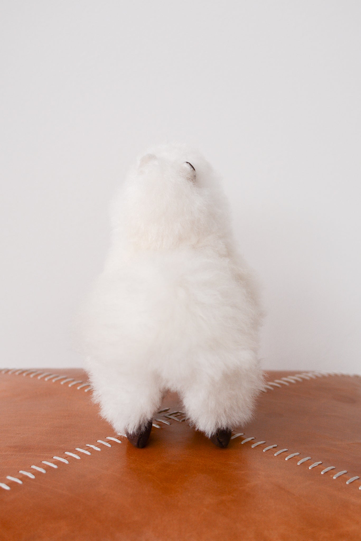 Small Plush Alpaca Stuffy in White